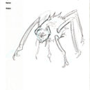 Runic Hunter Type – Mystic Folder 6