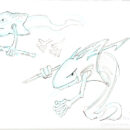 Runic Hunter Type – Water Folder 4